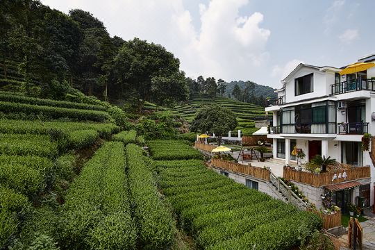 杭州原研斋茶园民宿