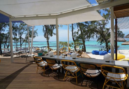 솔트 오브 팔마