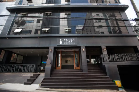 Petercat Hotel Shinchon