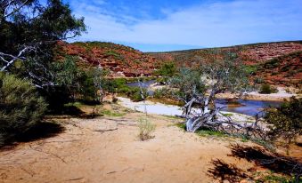 Gecko Lodge Kalbarri