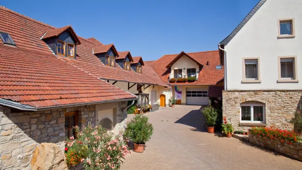 Weingut Ellernhof Graß Hotels in der Nähe von Museum der Stadt Alzey