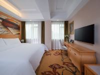 维也纳酒店(贵阳黔灵山公园延安西路地铁站店) - 高级大床房