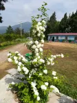 Hanzhong Wuyuan Farmhouse Homestay Hotels near South Lake Scenic Spot