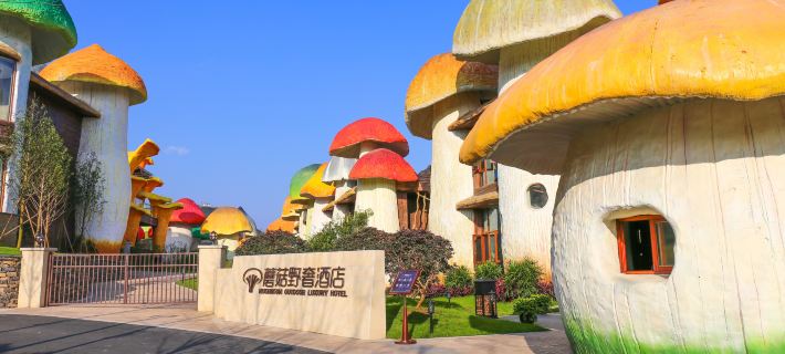 Mushroom outdoor luxury hotel Hotels in Xingyi