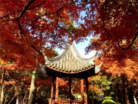 沪华国际大酒店(上海鹤庆路店) - 酒店附近