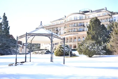 Falkenstein Grand, Autograph Collection