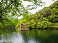 宁海森林温泉度假村 - 酒店附近