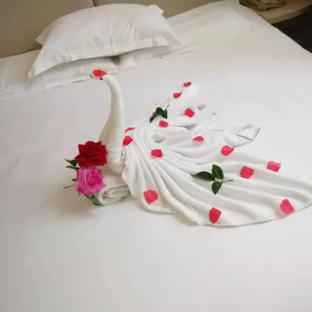 Ginza Grace Inn Hotel (Linyi Yinqueshan Road)