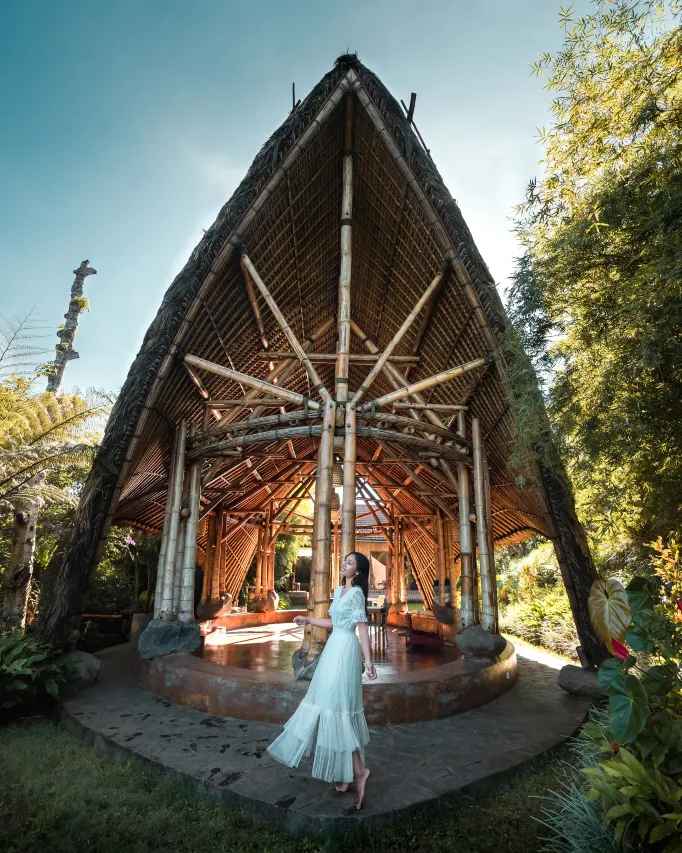 리조트 내 울창한 커피 농장 전경