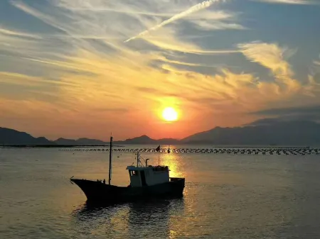 Fuding Datianhu Homestay Отели рядом с достопримечательностью «Dayushan Island»