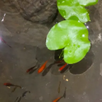 合舍客棧（潮州古城牌坊街廣濟橋店）