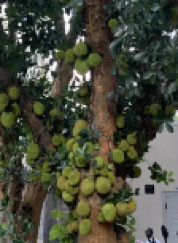 Xinyi Hotel B&B (Qiaogang Beihai International Passenger Terminal) Hotels near Qiaogang Fengqing Street