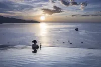Chicland Danang Beach Hotel - Romantic