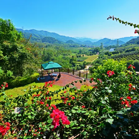 Hezhou Senbake Estate Treehouse Homestay