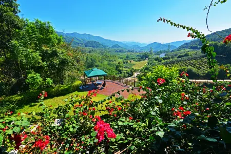 Sunbar Treehouse Hotel Отели в г. Хэчжоу