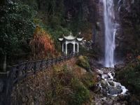 云和云蟠山庄 - 花园