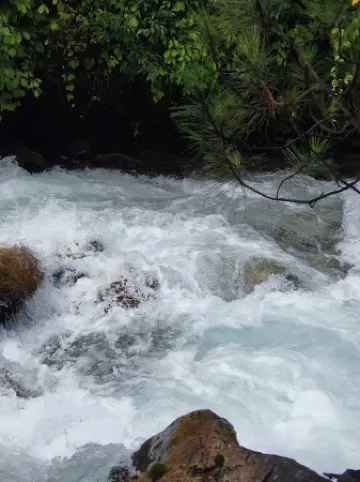 Chayu Hongsheng Hotel