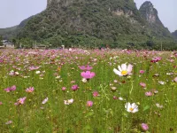 Qingyuan Qianyingyue Agricultural Tourism Resort