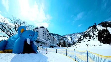 Yuzawa Toei Hotel Отели в г. уезд Минамиуонума