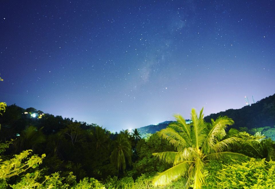 5. 더 디얼리 꼬 ..