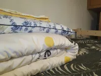 baihuashuhotel
