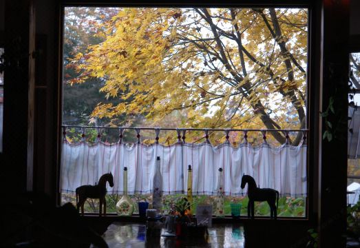 쿠스 쿠스 글램핑 리조트 전경