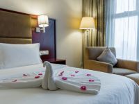 长沙通程温泉大酒店 - 标准大床房