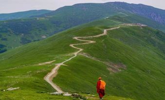 Yunju Light Luxury Hotel (Wutaishan Wuye Temple)