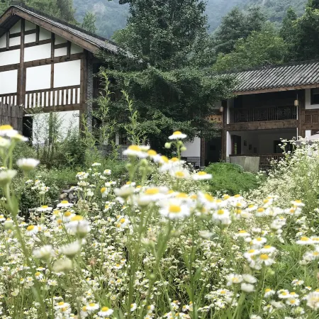 汶川熊貓之家民宿