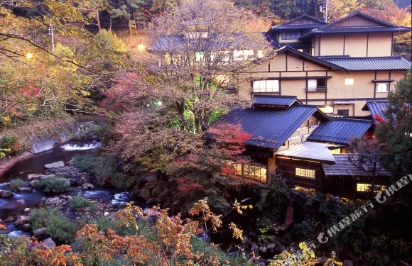 黑川温泉 夢龍膽