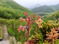 安吉吾集民宿 - 酒店附近