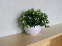 享家小院宾馆(沈阳机场店) - 简约双床房