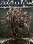 Maoshan Shanqian B&B