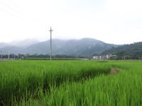 广州探云田居民宿 - 酒店附近