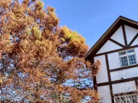 The Cotswolds Villa Hotels near Cingjing Farm