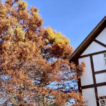 The Cotswolds Villa Отели рядом с достопримечательностью «Ферма «Чунь-Янь»»