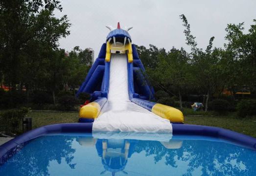 5. 라이빈 위다 인..