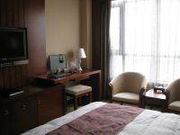 安庆国际大酒店 - 数码单人房