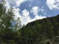 the pure site