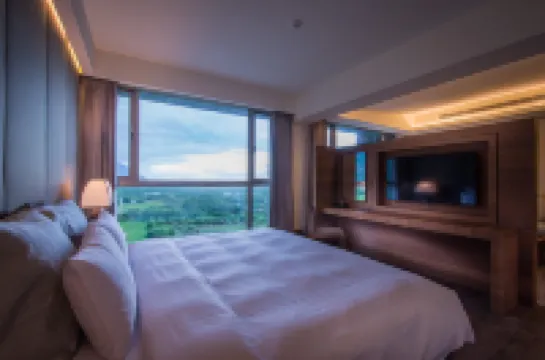 Liiko Hotels Hotels in 