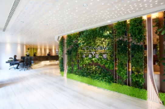 城景國際-香港中華基督教青年會