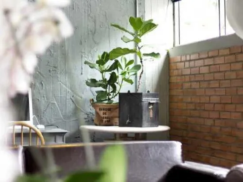 Chan Kim Don Mueang Airport Guest House