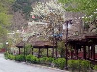理县松尔基藏家乐 - 酒店附近