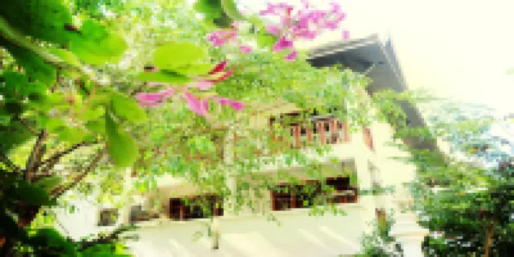 Elephant Home Garden Xishuangbanna Hotels near Starlight Night Market