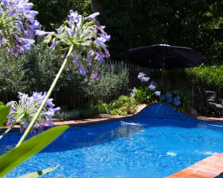 Armour Motor Inn Hotels in Beechworth