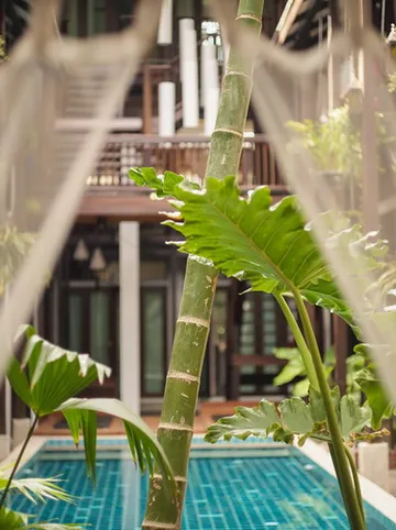 รูปภาพของโรงแรมบ้านช้างทอง