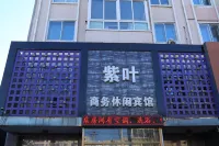 Fuxin Ziye Business Leisure Hotel