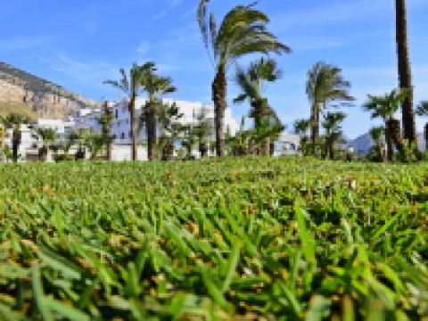 Saracen Sands Hotel & Congress Centre - Palermo Hoteles en Palermo