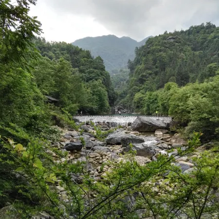 Wangfeng Mountain Villa