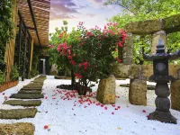 Weizhou Island Slow Art Homestay (Dishui Danping Beach Store) Hotels near Dishui Danping